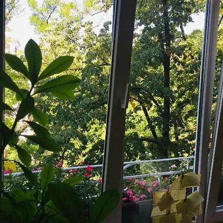 Sweet In The Heart Of Szófia