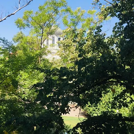 Sweet In The Heart Of *